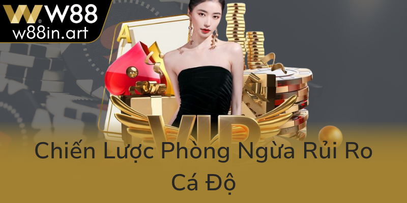 Chien Luoc Phong Ngua Rui Ro Ca Do0