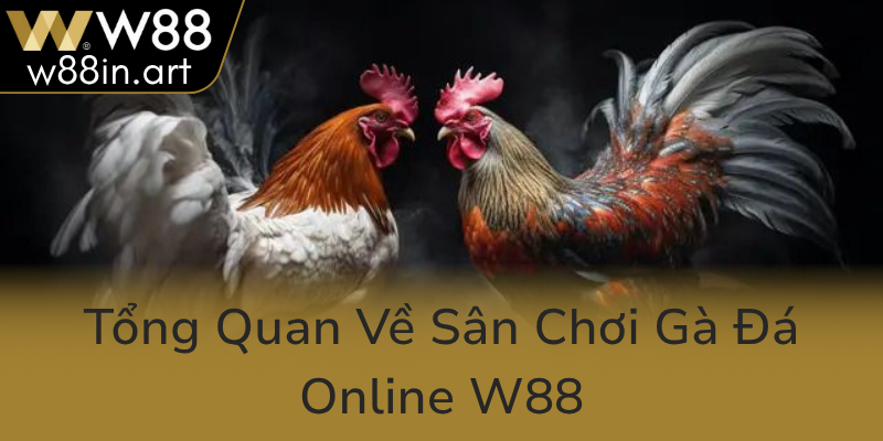 Đá Gà W88 - Trải Nghiệm Sân Chơi Đá Gà Trực Tuyến Chất Lượng Và Đẳng Cấp 1 Tong Quan Ve San Choi Ga Da Online W880