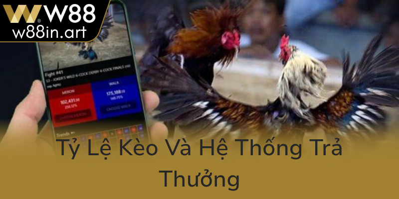 Đá Gà W88 - Trải Nghiệm Sân Chơi Đá Gà Trực Tuyến Chất Lượng Và Đẳng Cấp 3 Ty Le Keo Va He Thong Tra Thuong0